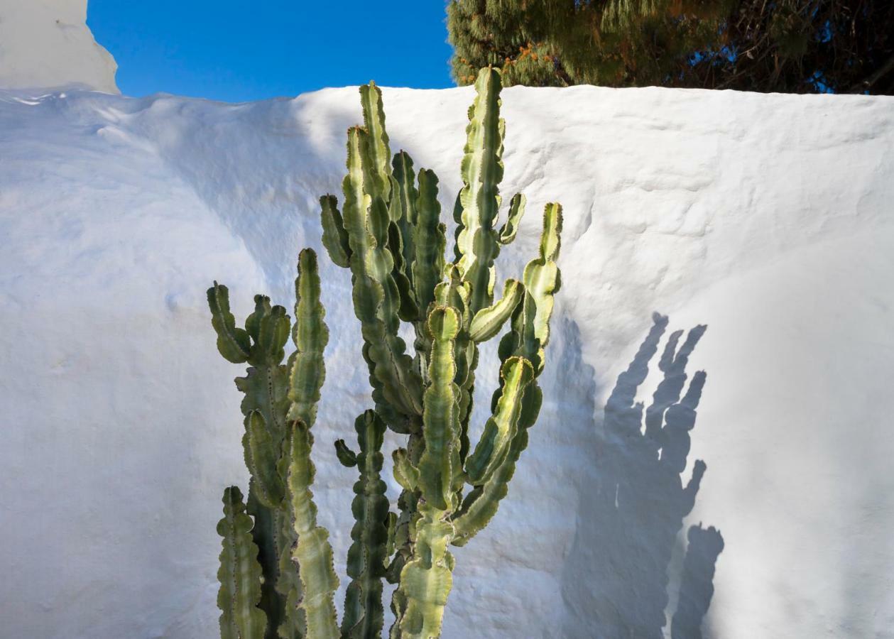23 Hotel Mykonos Mykonos Town Ngoại thất bức ảnh